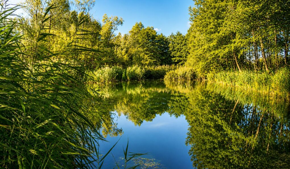 Biotopo di Inghiaie con specchio d’acqua e vegetazione sulle rive