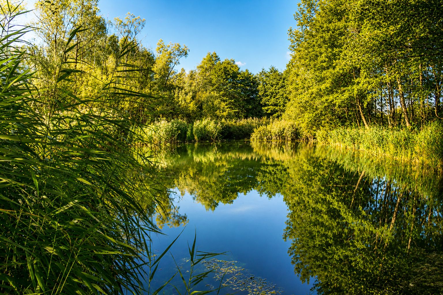 Biotopo di Inghiaie con specchio d’acqua e vegetazione sulle rive